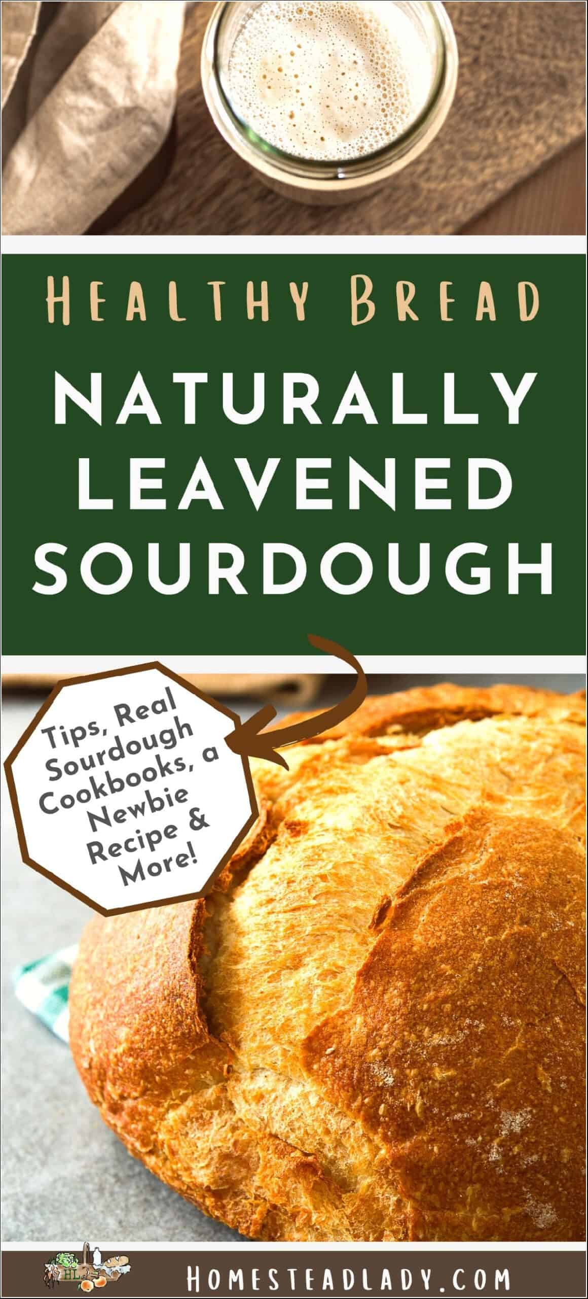 naturally leavened sourdough round loaf on a table