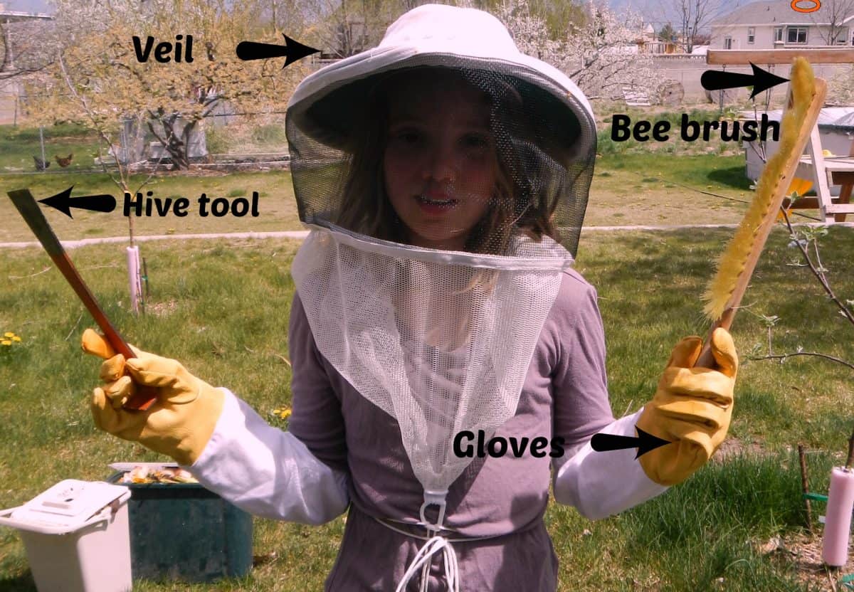 How to prepare for beekeeping - www.homesteadlady.com How to prepare for beekeeping - www.homesteadlady.com - bee keepers tools
