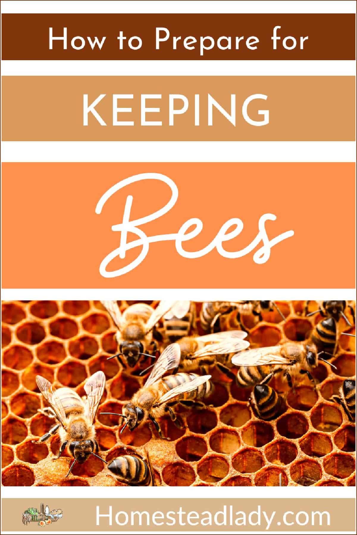 honey bees on a honey frame