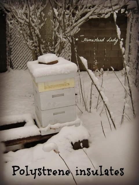 How to prepare for bee keeping - wooden hives are just fine but polystyrene is extra insulation - www.homesteadlady