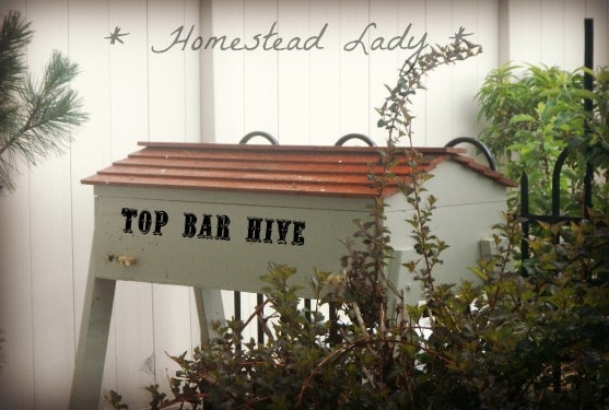Top bar hive - www.homesteadlady.com