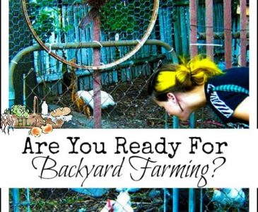 Are you ready for Backyard Farming l Review of Backyard Farming on an Acre More or Less l Homestead Lady (.com)