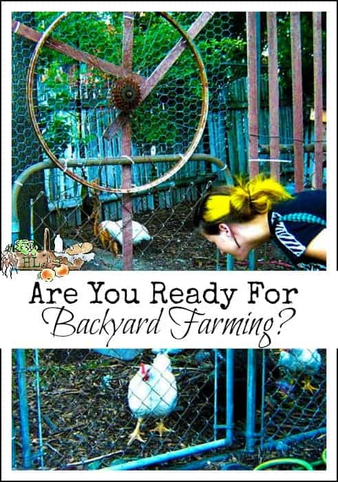 Are you ready for Backyard Farming l Review of Backyard Farming on an Acre More or Less l Homestead Lady (.com)