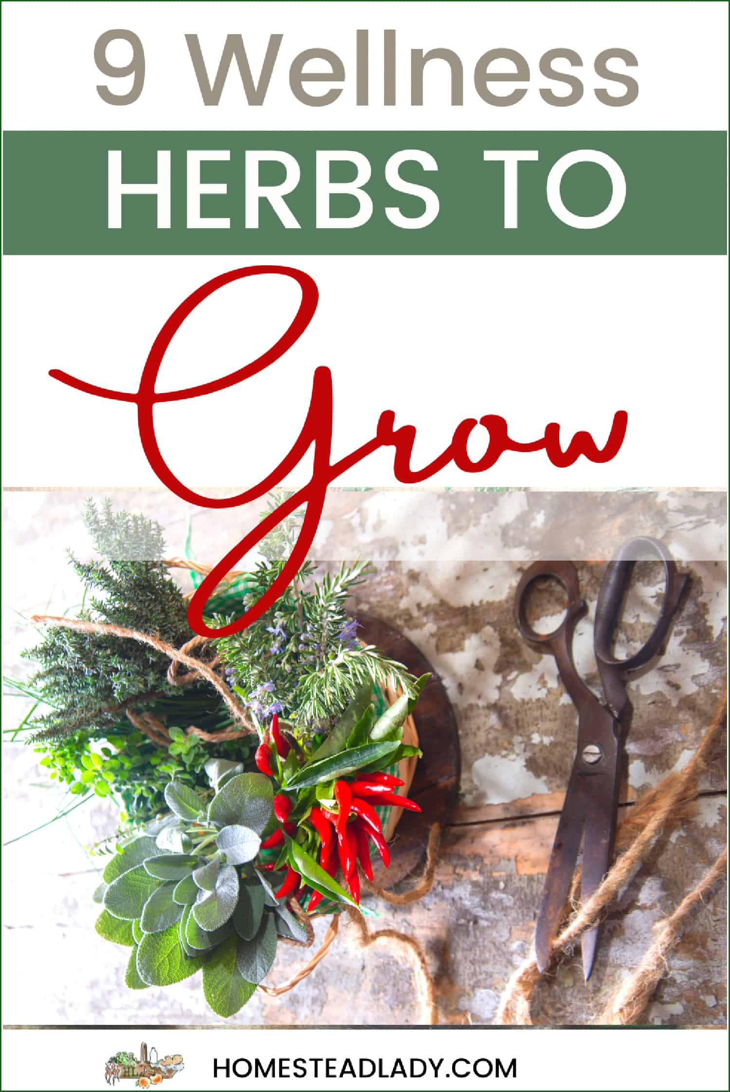 mixed herbs in a cup on a table