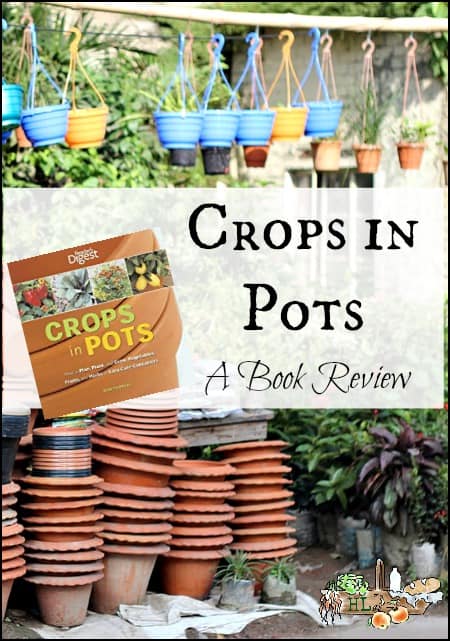 Crops in Pots l Grow food anywhere l A book review l Homestead lady.com