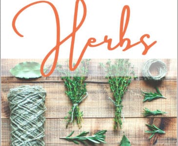 cut herbs on a table with scissors and twine