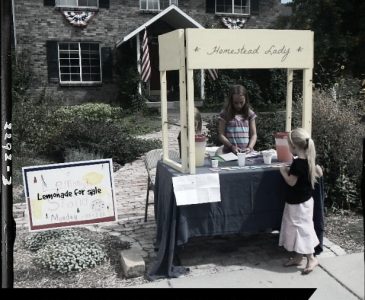 Starting a business with your kids - www.homesteadlady.com - Interview with My Inspired Dress Up Design