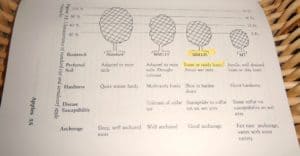 Backyard Orchardist 2