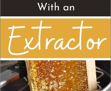 raw honey frame in an extractor