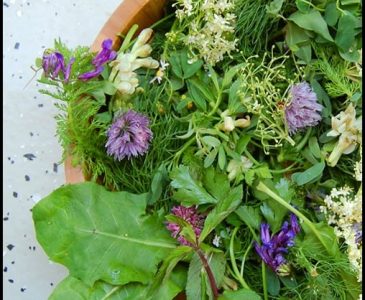 The Cook's Herb Garden Book Review l Calling all herb nerds who need another great book! l Homestead Lady (.com)