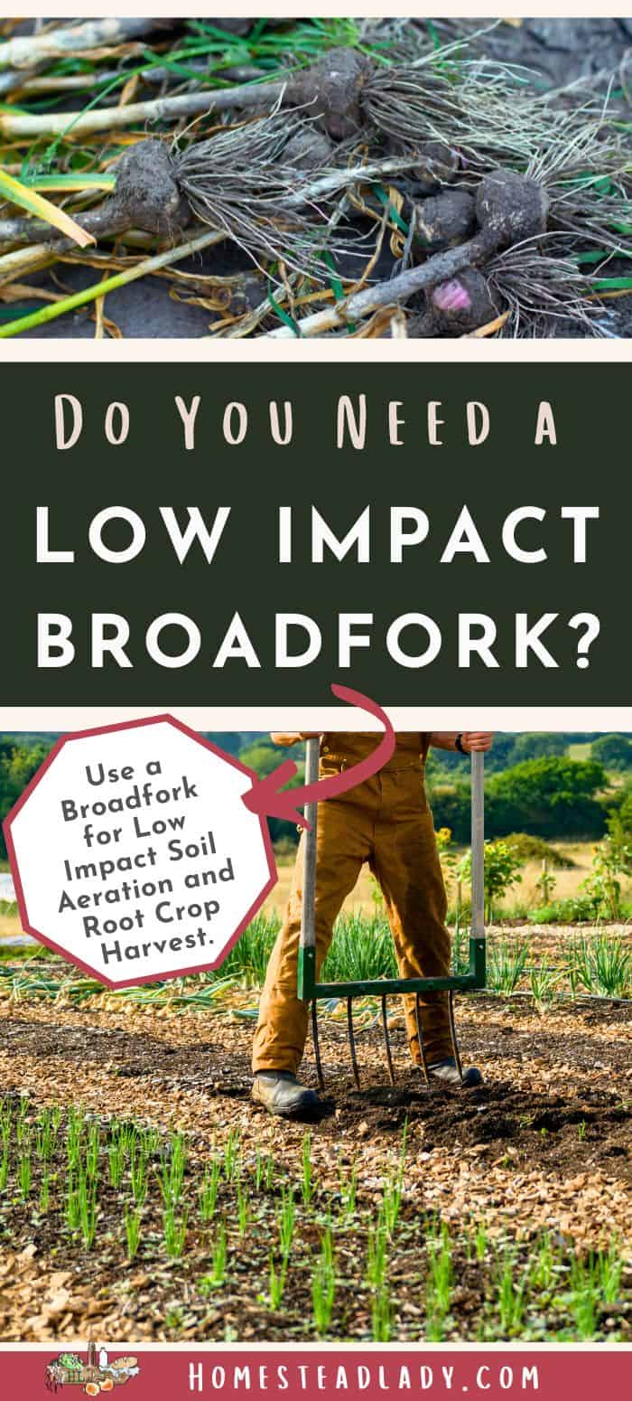 a broadfork being used in the garden