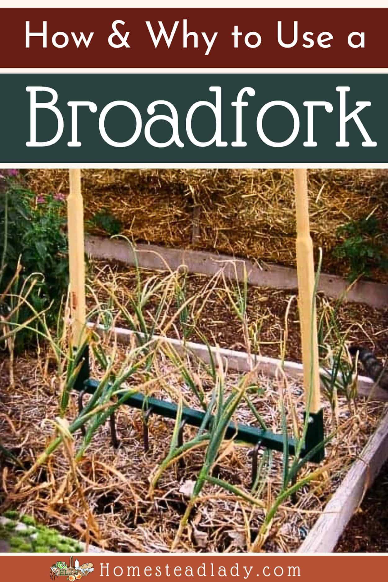 a broadfork being used in the garden