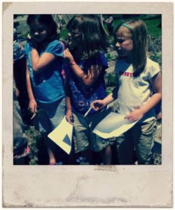 Host a Farm Tour for Kids l Homestead Community Outreach l Homestead Lady (,com)