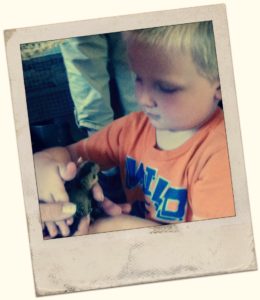 Farm Tour for Kids l How to teach children to love homesteading l Homestead Lady (.com)