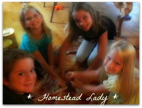 How to make homemade popcorn from a dried ear of popcorn - www.homesteadlady.com - fun project for kids!