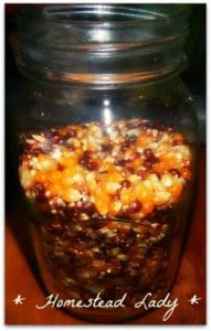 How to make homemade popcorn from a dried ear of popcorn - www.homesteadlady.com - popcorn kernals - who knew they were pretty!!