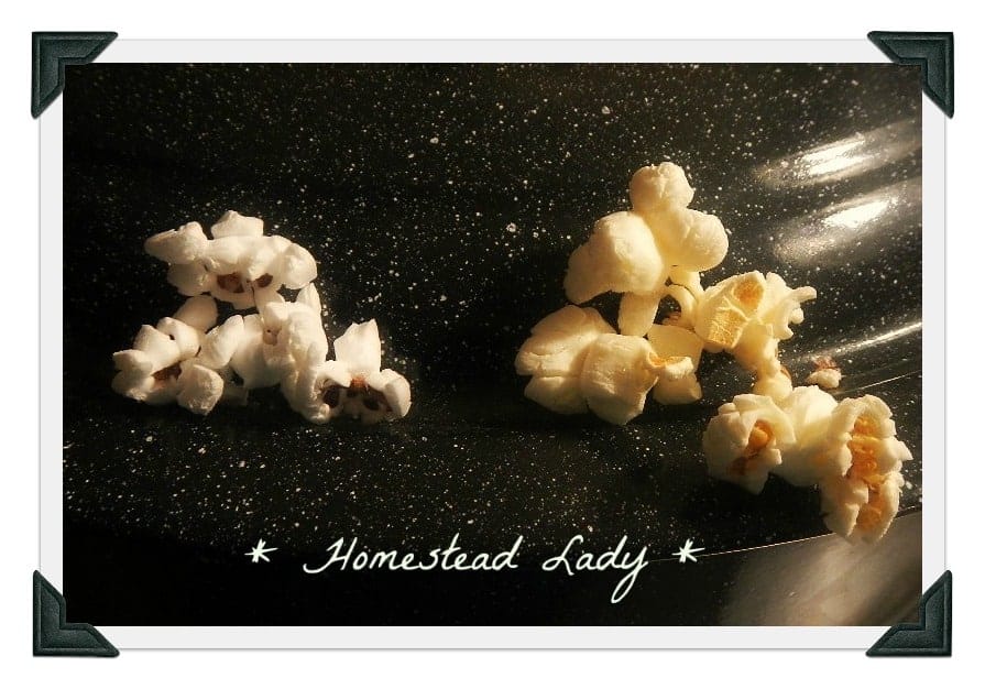 Popcorn