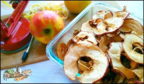 dehydrated apple chips close up for texture