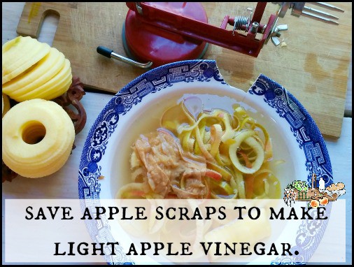 apple scraps in bowl to become apple vinegar