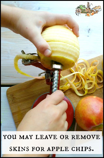 apple peeler machine taking off apple peels