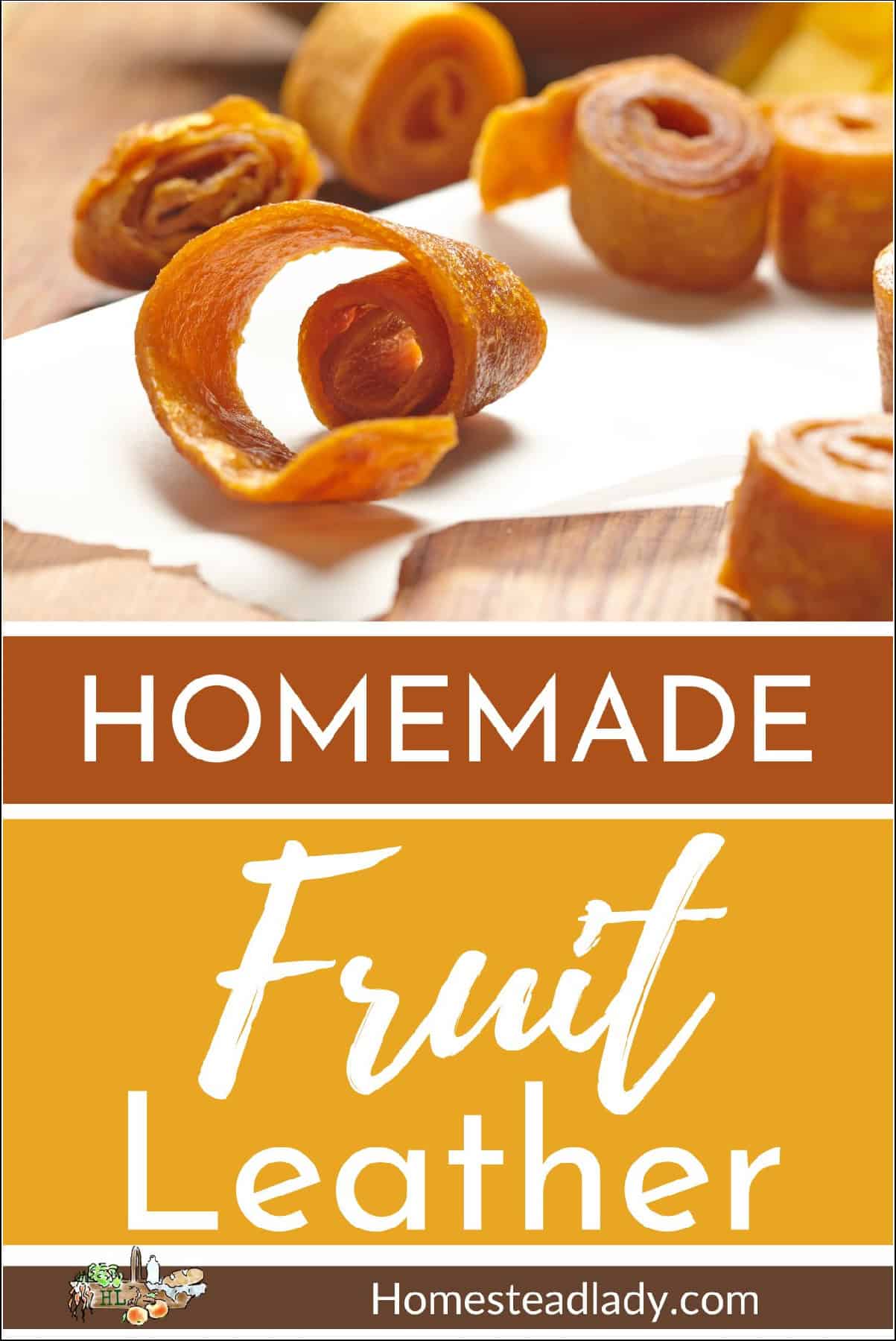 fruit leather rolled up on parchment paper