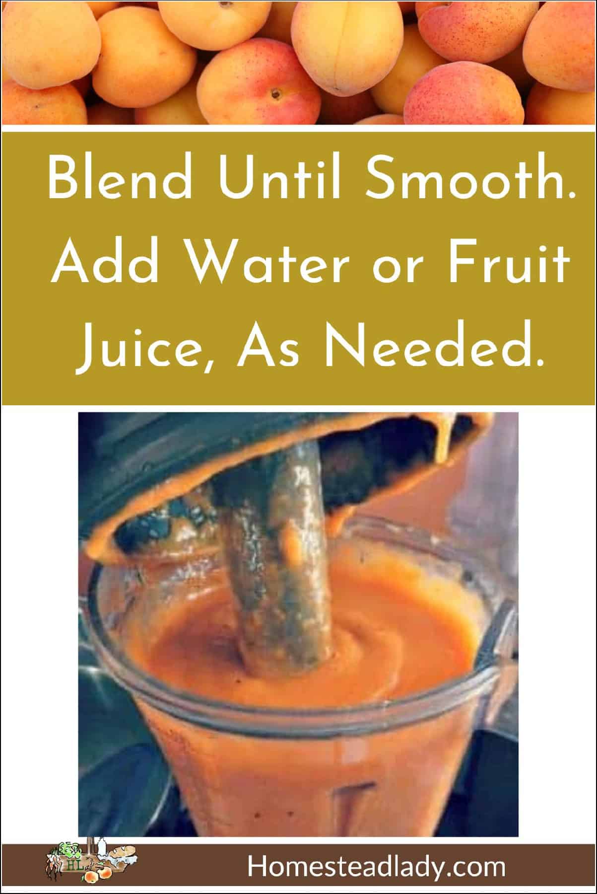 apricots and apricot puree in a blender