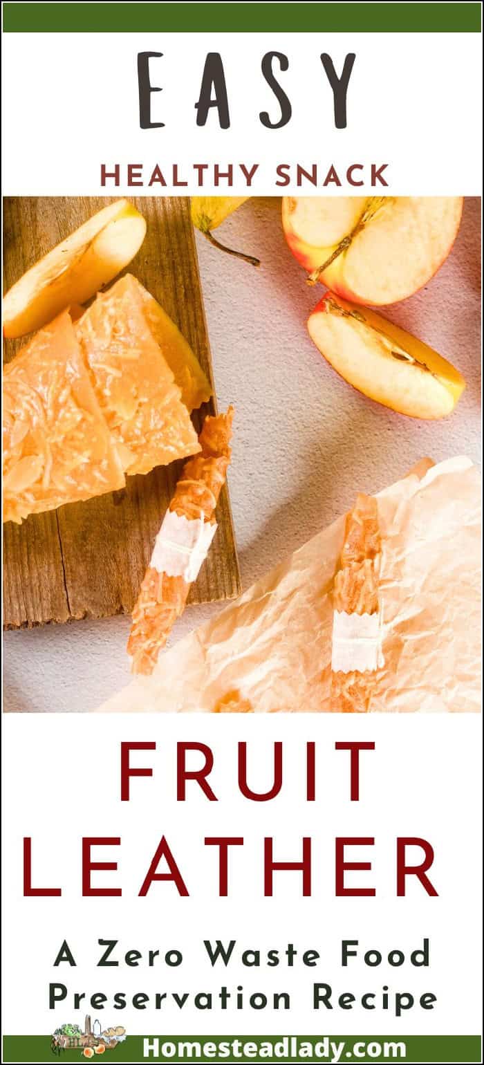 homemade fruit leather rolled up on a table with parchment paper