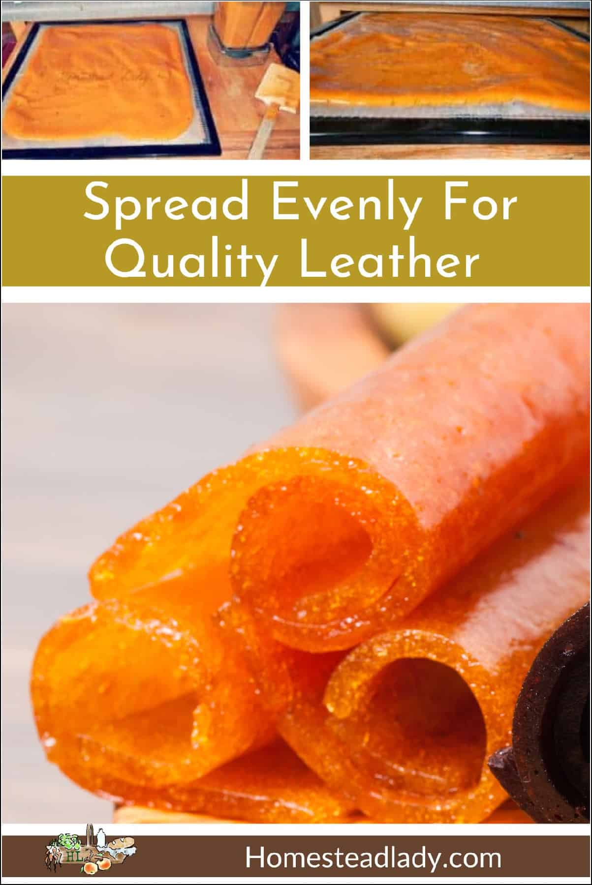 apricot fruit puree spread on a dehydrator tray; fruit leather rolled up on a tray