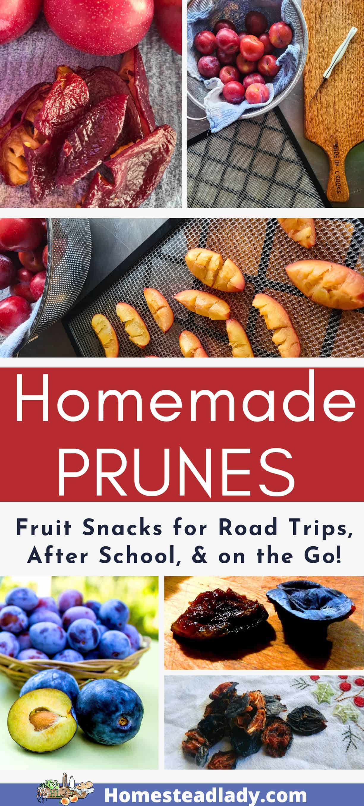 mix collage fresh plums and dehydrated prunes