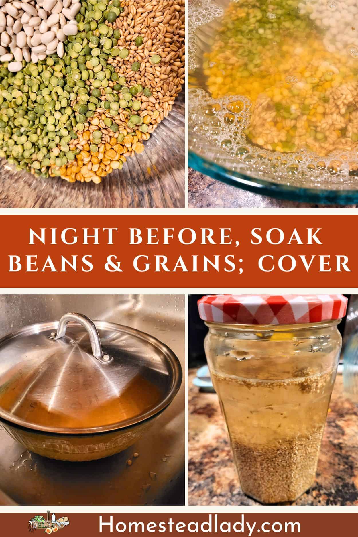 grains and beans for pulse recipe soaking in water