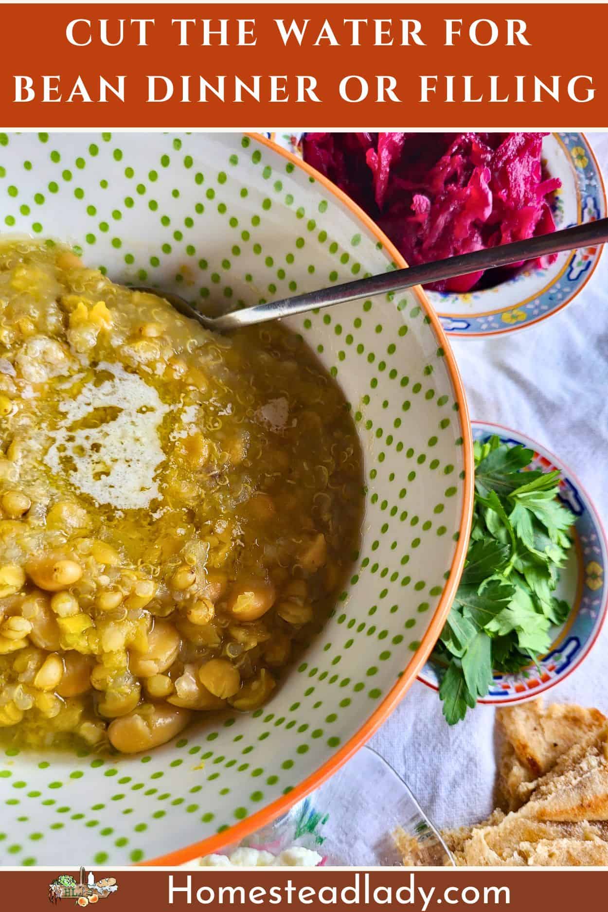 Biblical pulse in a bowl with a spoon 
