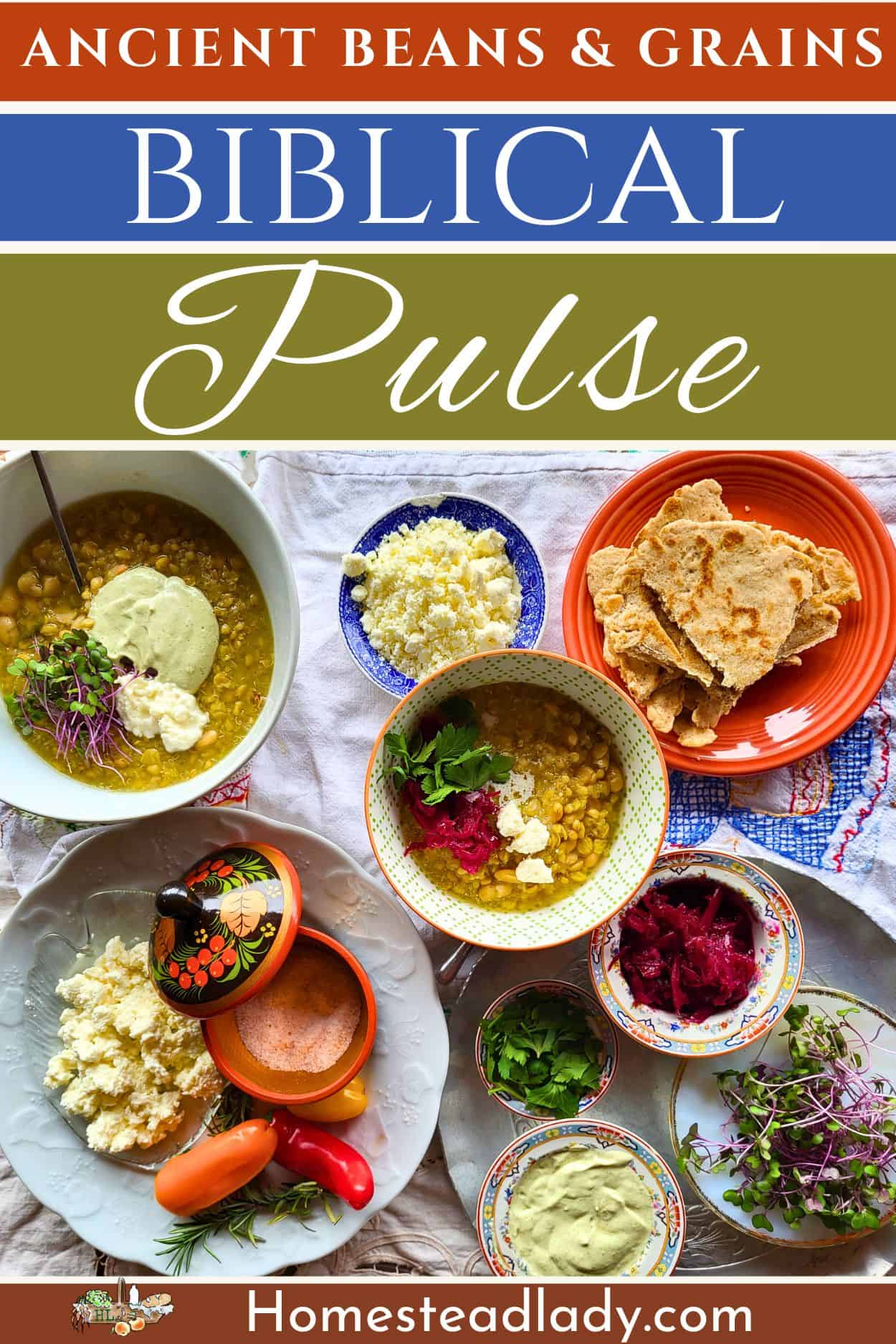 Biblical pulse in a bowl with toppings on a white tablecloth