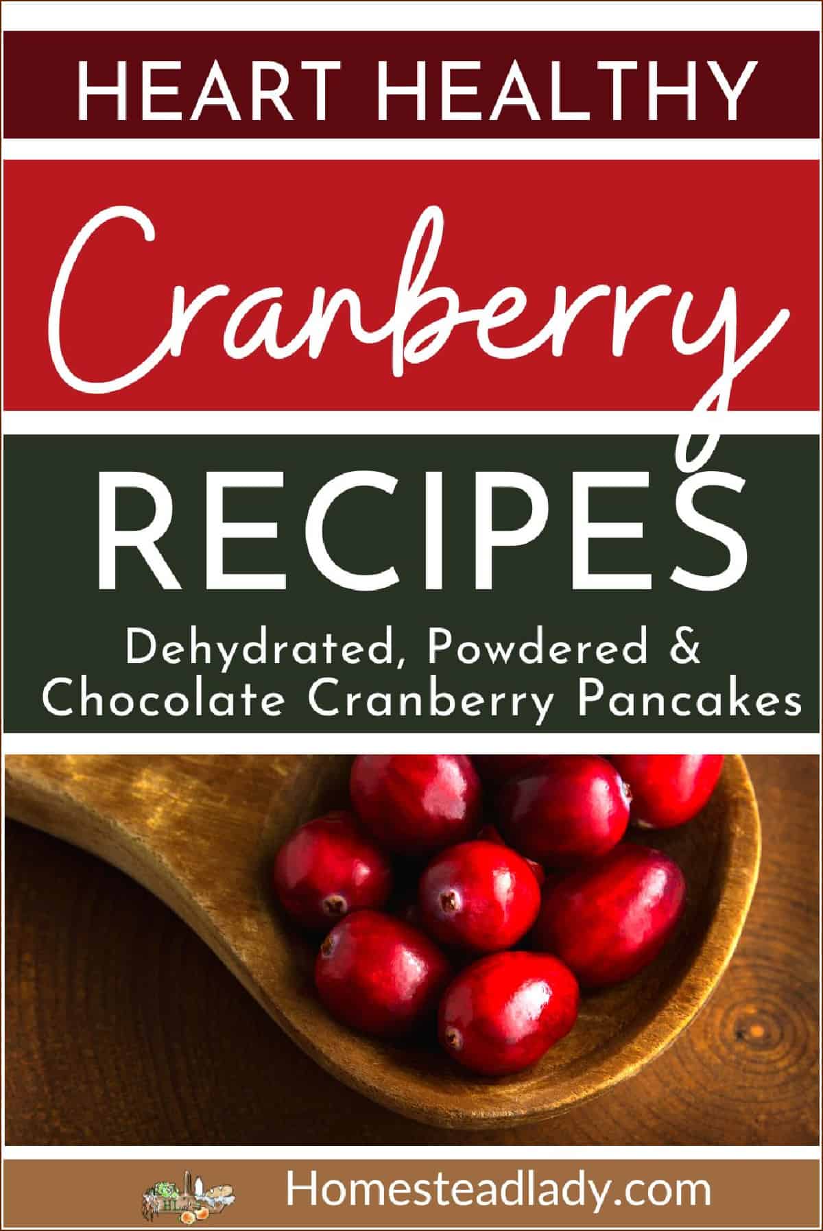 cranberries in a wooden spoon