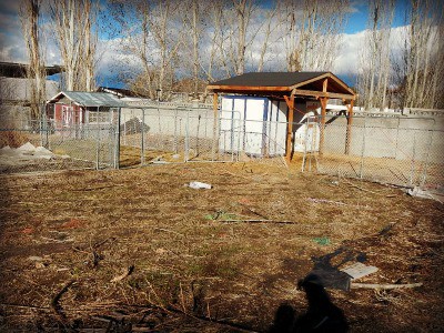 Spring thaw on the homestead - rotational animal/garden pens - www.homesteadlady.com