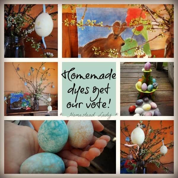 Easter Eggs - Natural Dye vs. Natural Dye - Homemade dye wins! - www.homesteadlady.com