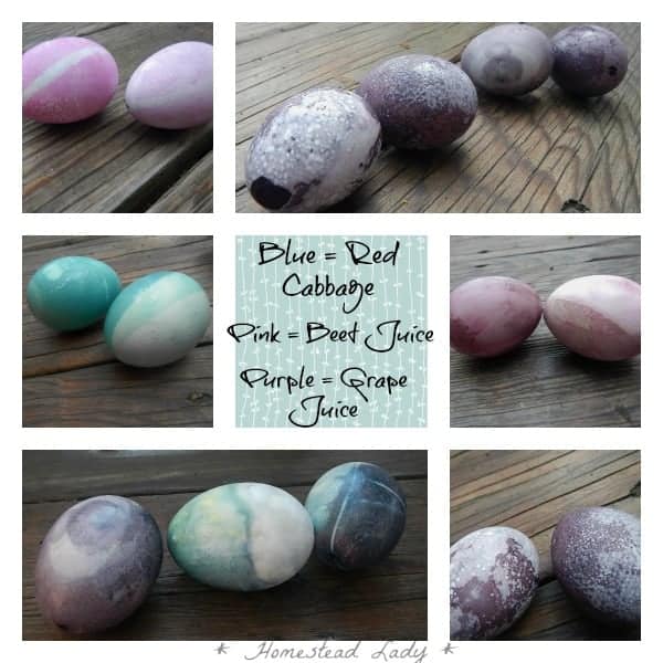 Easter Eggs - Natural Dye vs. Natural Dye - blues, pinks, purples - www.homesteadlady.com