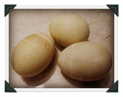 Easter eggs - natural dye vs natural dye - no go on the green with commercial dye - www.homesteadlady.com