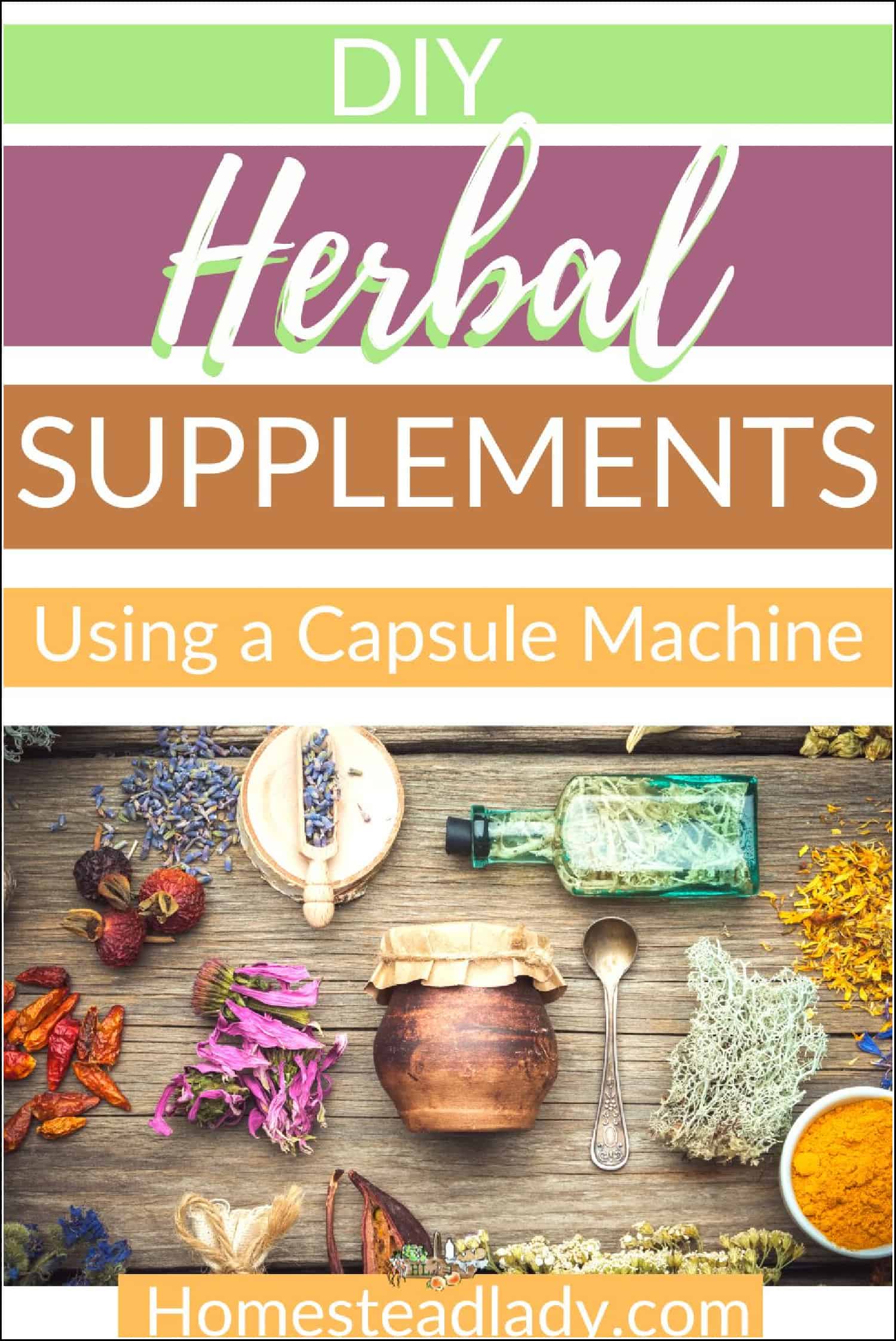 dried herbs on a table