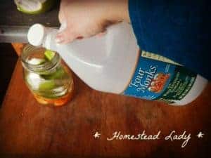 Homemade Citrus Laundry Wash Vinegar Cleaner by www.homesteadlady.com add vinegar to citrus peels