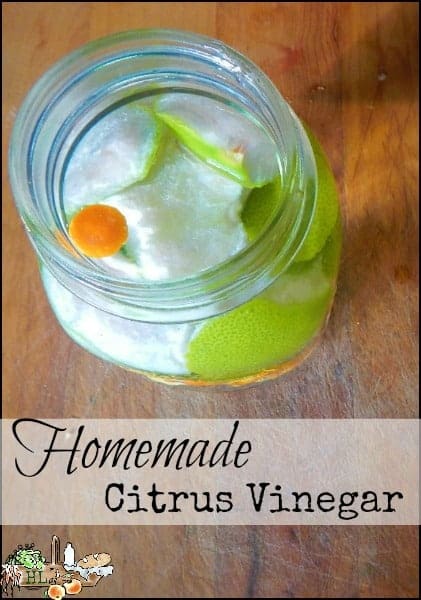 Homemade Citrus Vinegar l Laundry Wash and Natural Cleaner l Homestead Lady (.com)