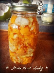 Homemade Citrus laundry wash vinegar cleaner by www.homesteadlady.com - peels sat about a week.