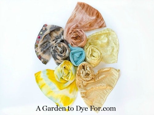 A Garden to Dye For book review by Homestead Lady - naturally dyed scarves and silks