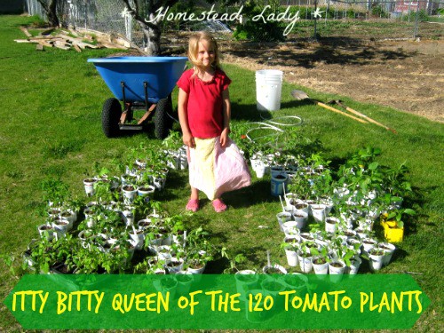 5 Annual Vegetables for the Children's Garden - tomatoes are certainly on the list! www.homesteadlady.com
