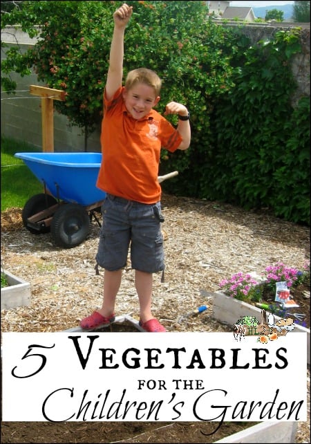 5 Vegetables for the Children's Garden l Kids can grow their own with these vegetables l Homestead Lady.com