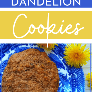 dandelion cookie on a plate with dandelions
