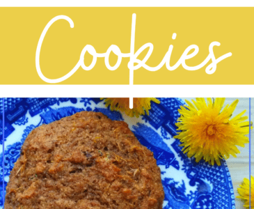 dandelion cookie on a plate with dandelions