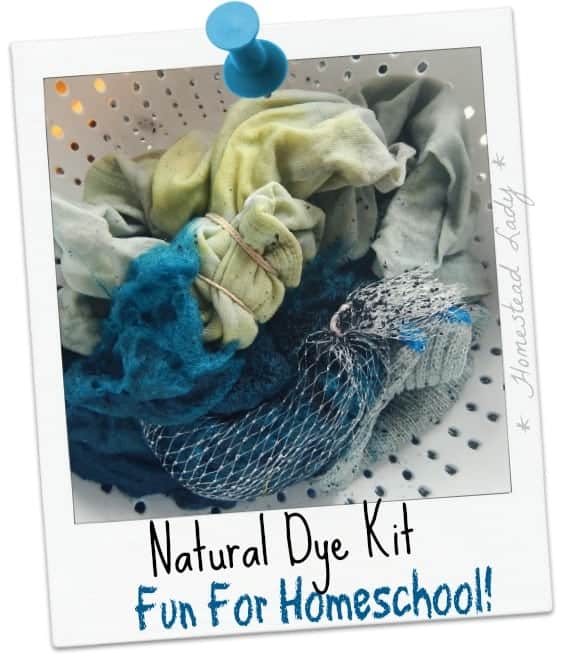 Natural Dye Kit - Fun for Homeschool - Easy instructions, great dyes, lots of fun for science class or homeschool!  www.homesteadlady.com