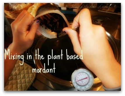 Natural Dye Kit Fun for Homeschool - kids can totally help with this - mixing in the plant based mordant - www.homesteadlady.com