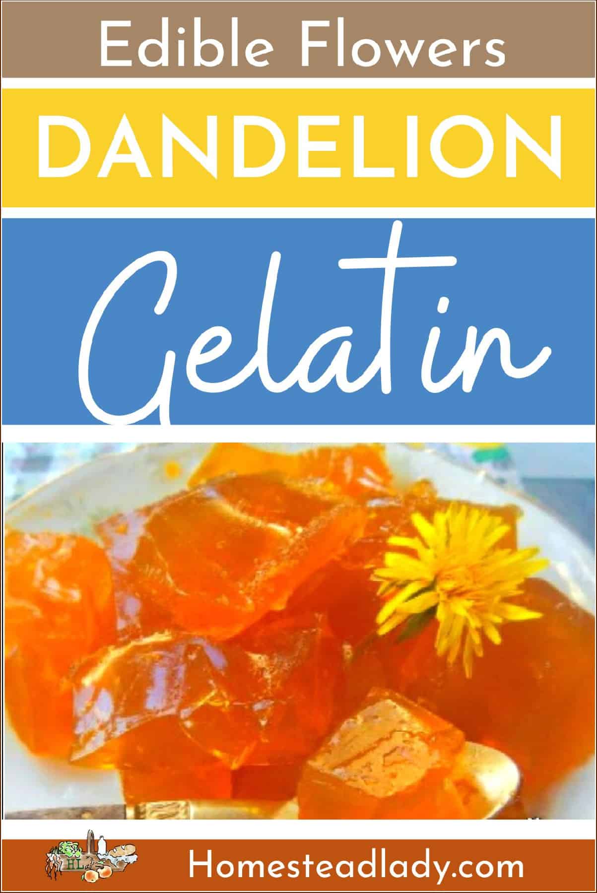 dandelion gelatin on a plate with a spoon
