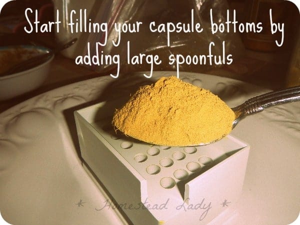 DIY Supplement Capsules - spoon in the herbs - www.homesteadlady.com